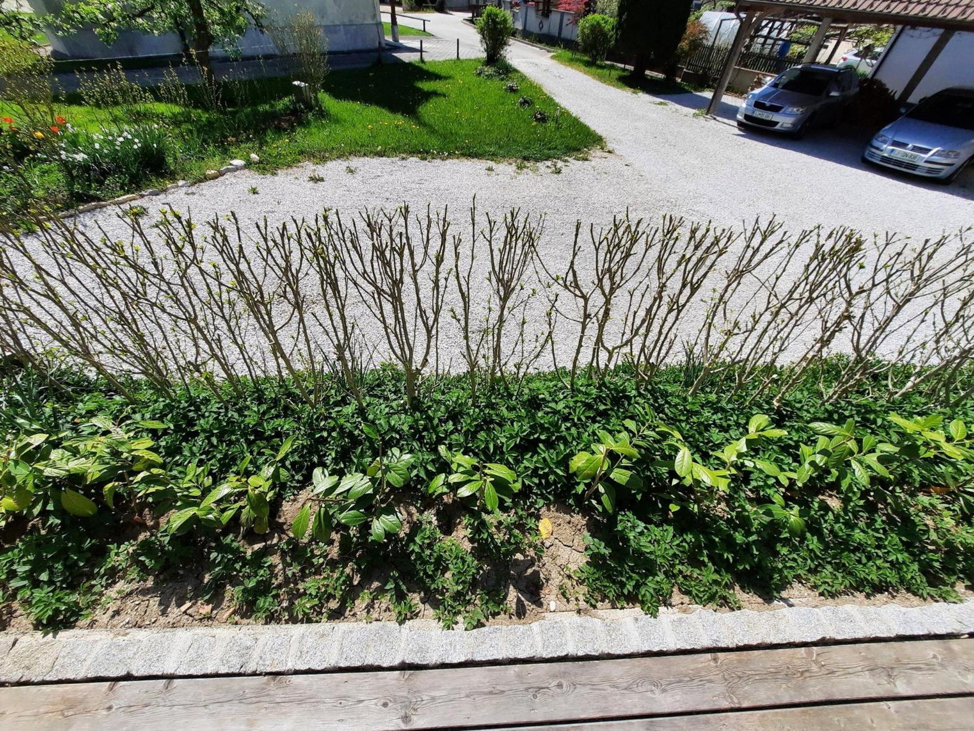 Apartment Alpipond Kamnik Zewnętrze zdjęcie