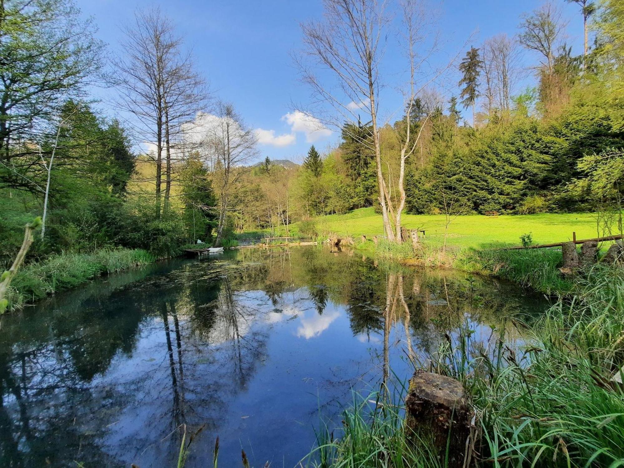 Apartment Alpipond Kamnik Zewnętrze zdjęcie