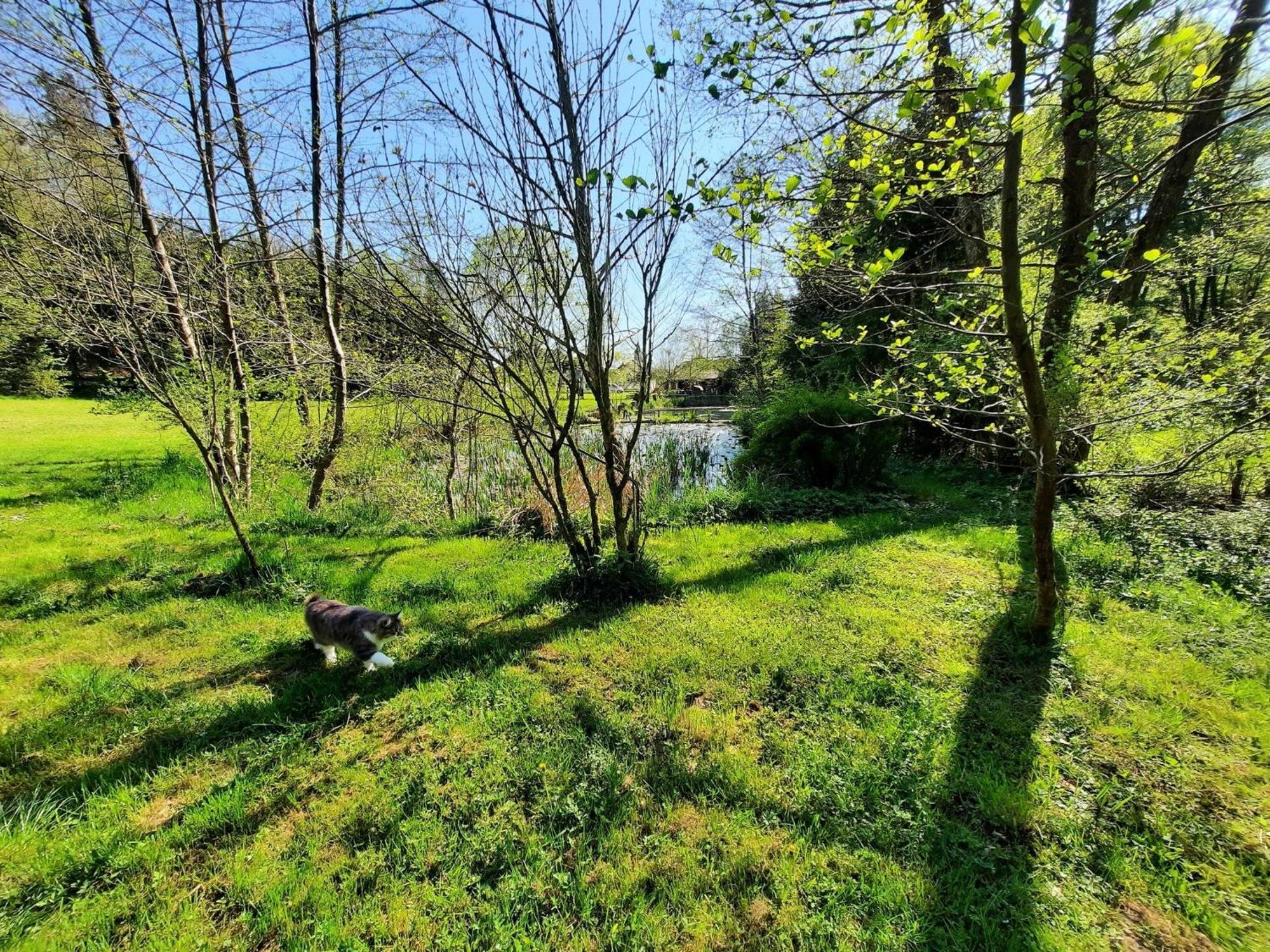 Apartment Alpipond Kamnik Zewnętrze zdjęcie